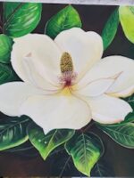 Magnolia
